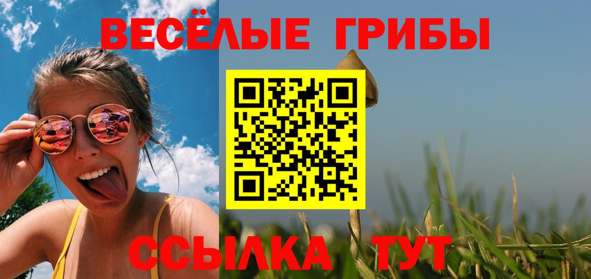 Галлюциногенные грибы Psilocybine cubensis Чита