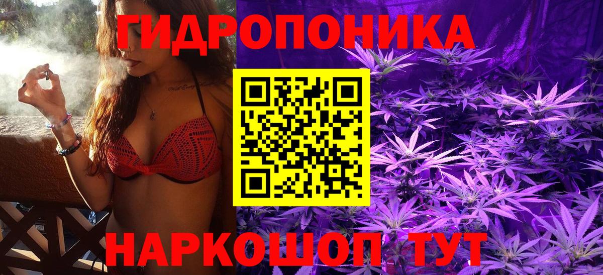 Бошки Шишки ГИДРОПОН  Каннабис ГИДРОПОН  Бошки Шишки сатива  Чита  Вход с VPN 